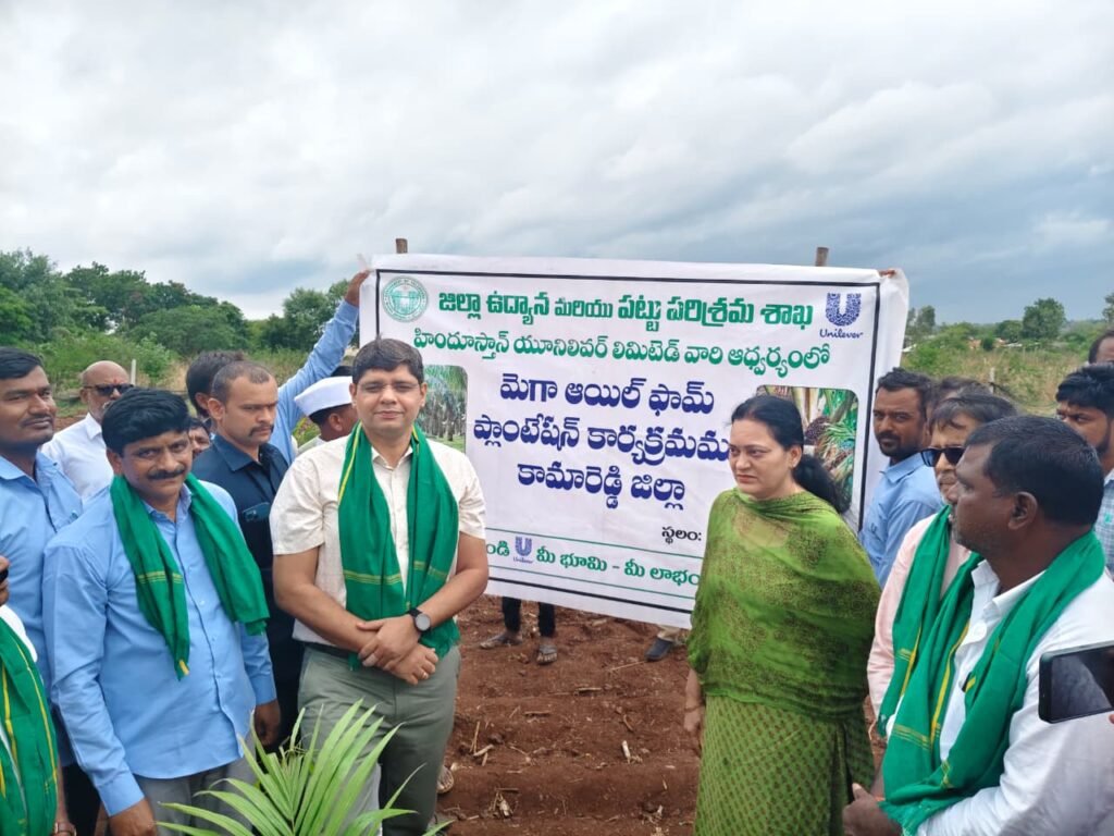 ఆయిల్ పామ్ సాగును విస్తరించాలి: కలెక్టర్ ఆశిష్ సాంగ్వాన్