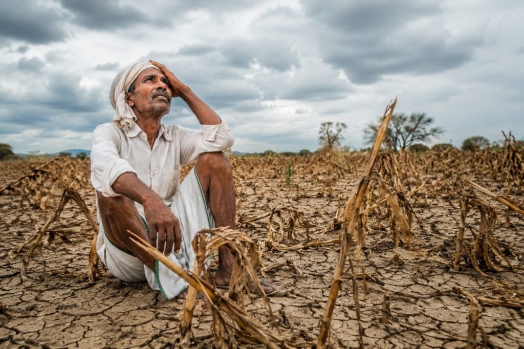 పత్తాలేని వానమ్మ..