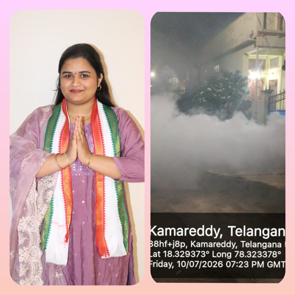 14వ వార్డులో దోమల నివారణకు ఫాగింగ్..