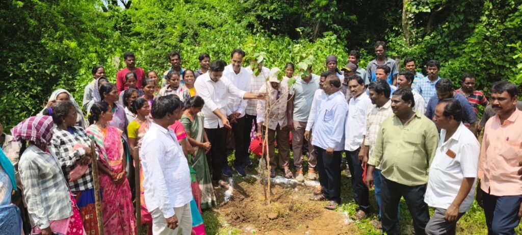 పచ్చదనం కోసం మొక్కలు నాటే కార్యక్రమం