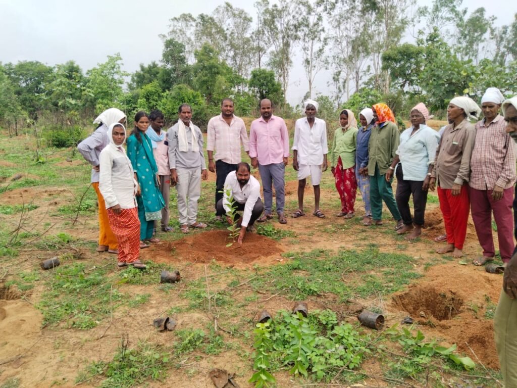 పద్మాజివాడిలో ఘనంగా వన మహోత్సవం